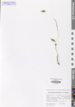 LE 01034451