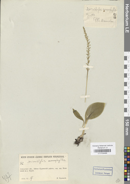 LE 01034465
