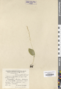 LE 01034467