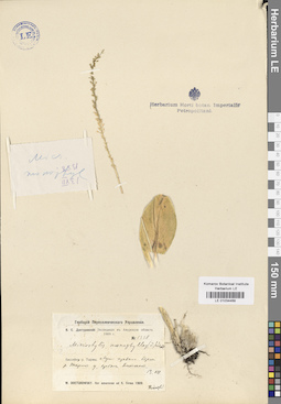 LE 01034469