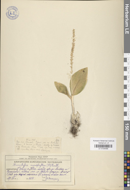 LE 01034485