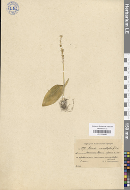 LE 01034486