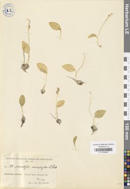 LE 01034487