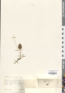 LE 01034495