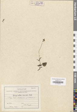 LE 01034512