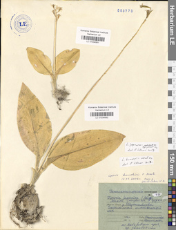 LE 01034562