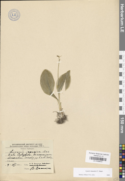 LE 01034572