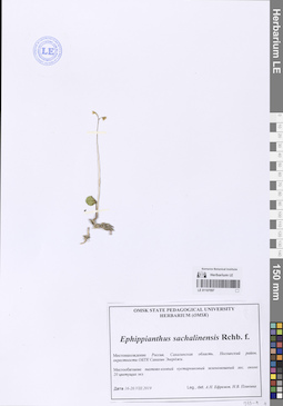 LE 01107097