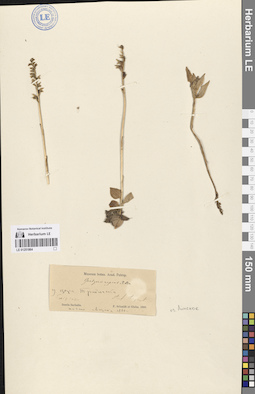 LE 01251864