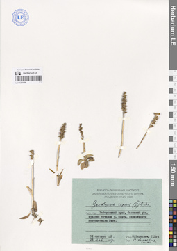 LE 01251866
