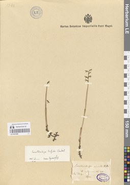 LE 01251869