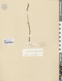 LE 01251872