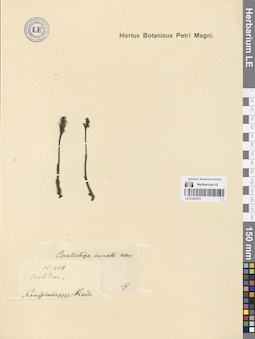 LE 01251874