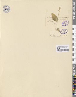 LE 01251882