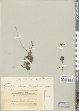 LE 01251892