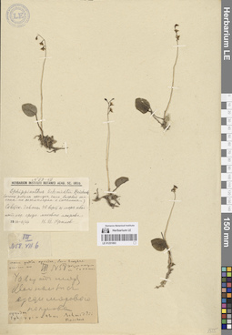 LE 01251893