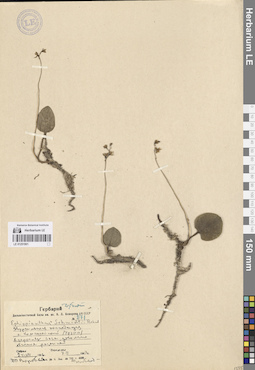 LE 01251901
