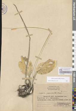 LE 01251902