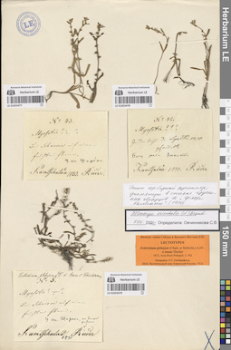 LE 01053477