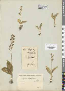 LE 01034589