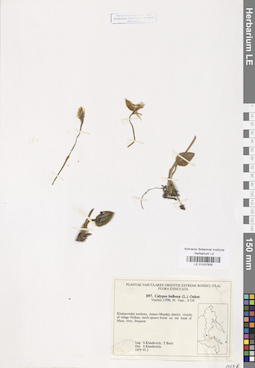 LE 01037605