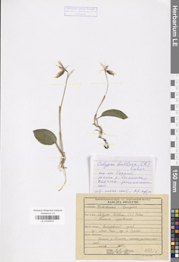 LE 01037610