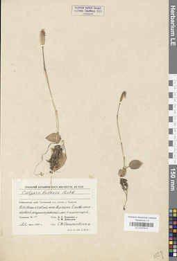 LE 01037615
