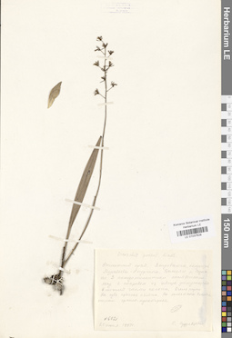 LE 01037628