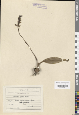 LE 01037663