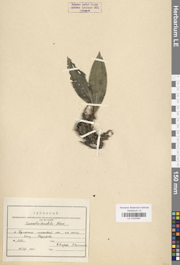 LE 01037667