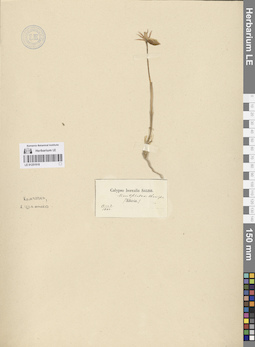 LE 01251918