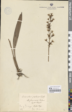 LE 01251925