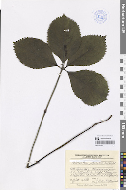 LE 01251931