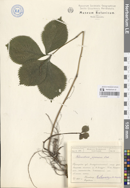 LE 01251937