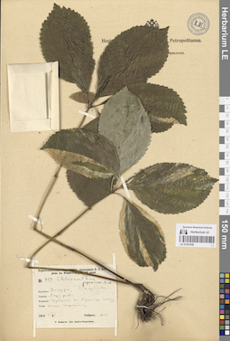 LE 01251938