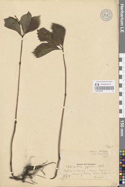 LE 01251958