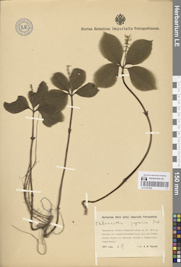 LE 01251962