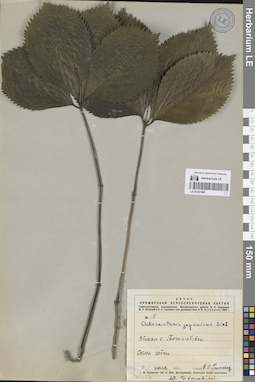 LE 01251969