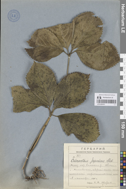 LE 01251973