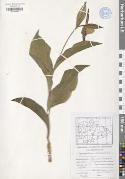 LE 01026201