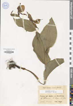 LE 01026234