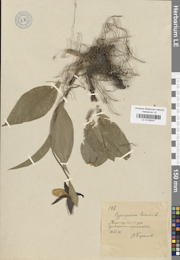 LE 01026247
