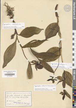 LE 01026269