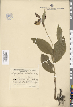 LE 01026275