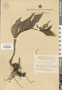 LE 01026284