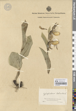LE 01251976