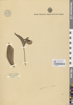 LE 01251984