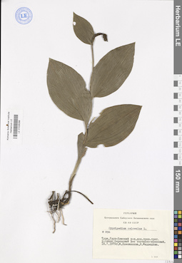 LE 01026298