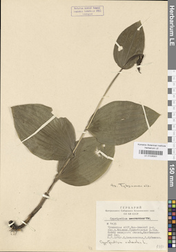 LE 01026301