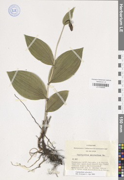 LE 01026304